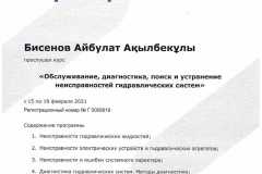Сертификат-Бисенов-1