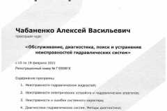 Сертификат-Чабаненко-1